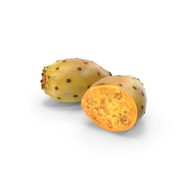 Cactus Fig PNG & PSD Images