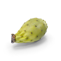 Cactus Fig PNG & PSD Images