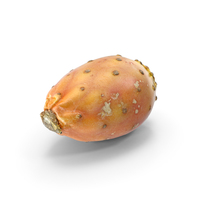 Cactus Fig PNG & PSD Images