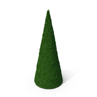 Bushes Cone PNG & PSD Images