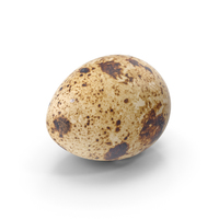 Quail Egg PNG & PSD Images