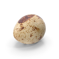 Quail Egg PNG & PSD Images