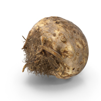 Celery Root PNG & PSD Images