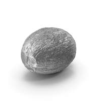 Silver Coconut PNG & PSD Images