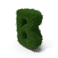 Boxwood B PNG & PSD Images