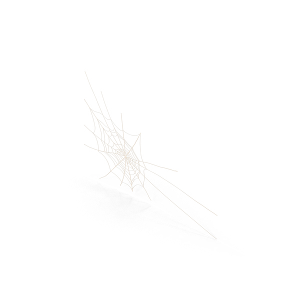 Cartoon Spider Web PNG & PSD Images