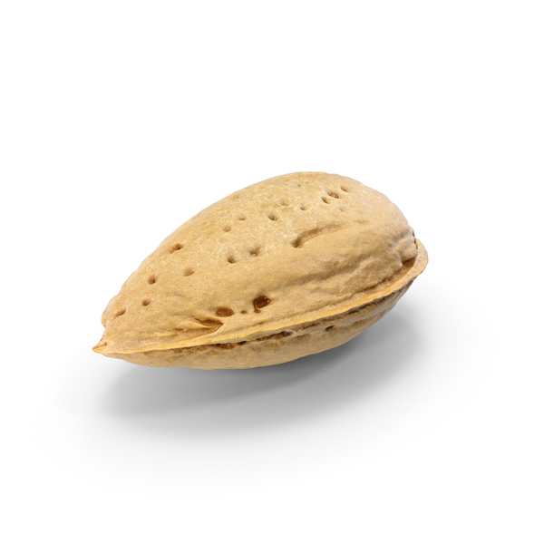 Almond PNG & PSD Images