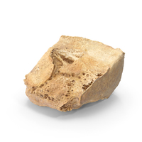 Lateral Cuneiform Bone PNG & PSD Images