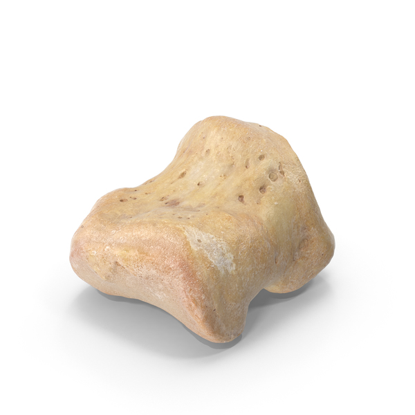 Middle Phalanx Bone of Little Toe PNG & PSD Images