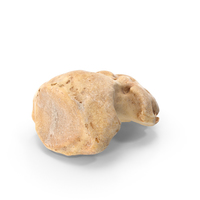 Distal Phalanx Bone of Little Toe PNG & PSD Images