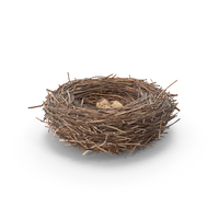 Bird Nest With Quail Eggs PNG & PSD Images