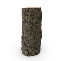 Tree Trunk PNG & PSD Images