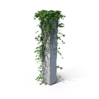 Ivy on a Column PNG & PSD Images