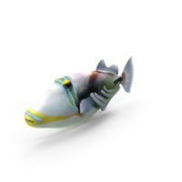 Triggerfish PNG & PSD Images