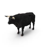 Bull PNG & PSD Images