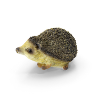 Hedgehog Statue Decoration PNG & PSD Images