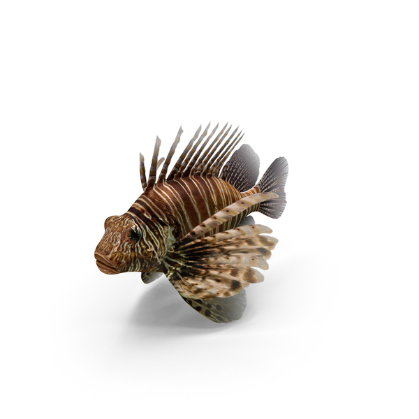 Lionfish PNG & PSD Images