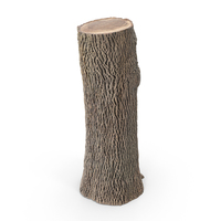 Tree Trunk PNG & PSD Images