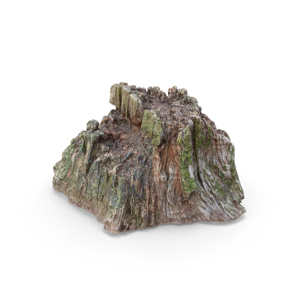 Tree Stump PNG & PSD Images