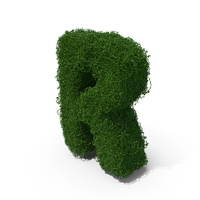 Boxwood Symbol R PNG & PSD Images