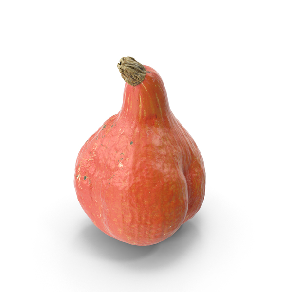 Red Kuri Squash PNG & PSD Images