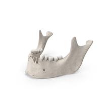 Human Jawbone White PNG & PSD Images