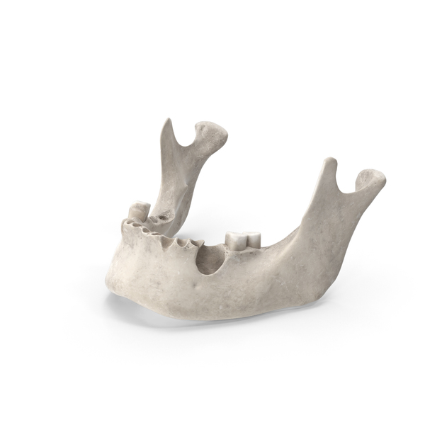 Human Jawbone White PNG & PSD Images
