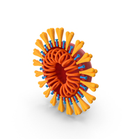 Coronavirus Cross Section PNG & PSD Images