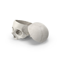 Human Skull Cut With Piece White PNG & PSD Images