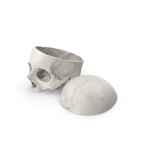 Human Skull Cut With Piece White PNG & PSD Images