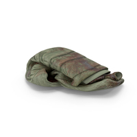 Women's Down Jacket Blood PNG & PSD Images