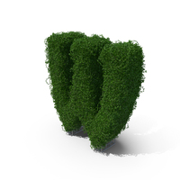 Boxwood Symbol W PNG & PSD Images