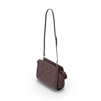 Women's Bag Vinous PNG & PSD Images