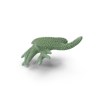 Сoral Green PNG & PSD Images