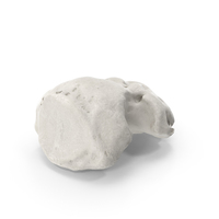 Distal Phalanx Bone of Little Toe White PNG & PSD Images
