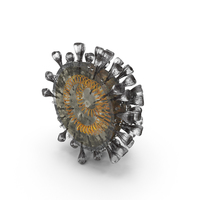 Novel Corona Virus Cross Section PNG & PSD Images
