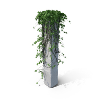 Ivy on a Column PNG & PSD Images