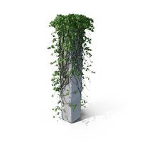 Ivy on a Column PNG & PSD Images