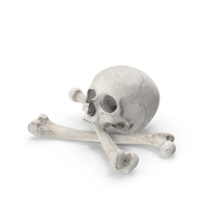 海盗头骨和骨骼组成白色PNG和PSD图像