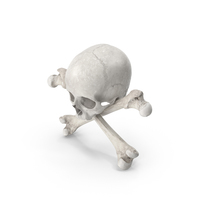 海盗头骨和骨骼组成白色PNG和PSD图像