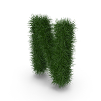 Grass Letter N PNG & PSD Images