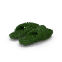 Grass Shoes PNG & PSD Images