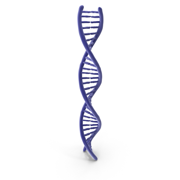 DNA PNG & PSD Images