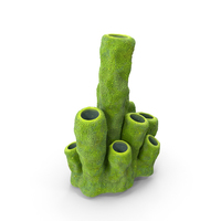 Green Coral Tubes PNG & PSD Images