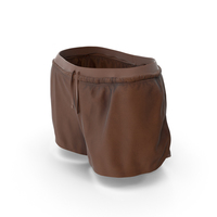 Women's Sport Shorts Brown PNG & PSD Images