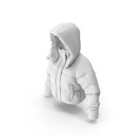 Women's Down Jacket White PNG & PSD Images