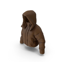 Women's Down Jacket Brown PNG & PSD Images