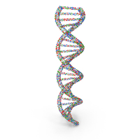 DNA PNG & PSD Images