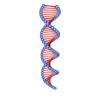 DNA Cartoon PNG & PSD Images