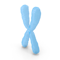 X Chromosome PNG & PSD Images